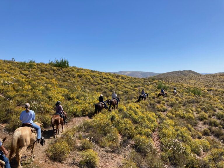 Rancho La Bellota